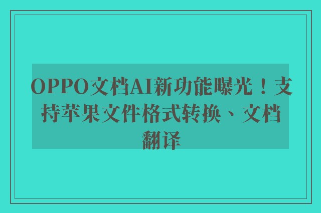 OPPO文档AI新功能曝光！支持苹果文件格式转换、文档翻译